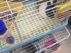 -UltraForce超源健身私教工作室(长楹天街精品店)