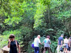 -广州白江湖森林公园