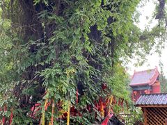 -大槐树寻根祭祖园