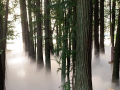 -东湖落雁景区