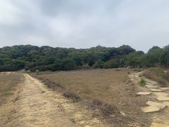 -清溪大王山森林公园