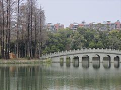 -四海公园(南山区)
