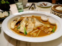 鲳鱼烧年糕-新荣记(新源南路店)