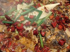 -老板恋上鱼(恒隆广场店)