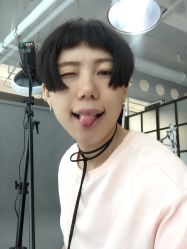 -大象造型