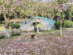 -中央公园(苏州工业园区)