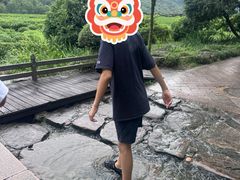 -中国茶叶博物馆(双峰馆区)