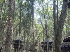 -富春桃源风景区