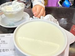 -民信老铺(双皮奶博物馆店)