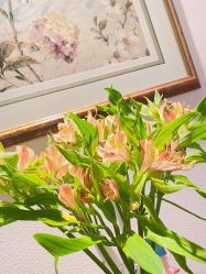 -尊尚柏丽美容SPA