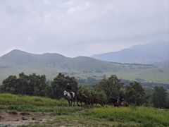 -灵山
