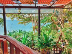 -卷心菜和避孕套餐厅(Pattaya)