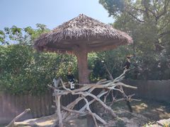 -上海野生动物园