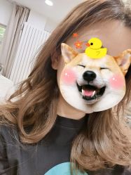 -AFA Hair studio·女士发型设计
