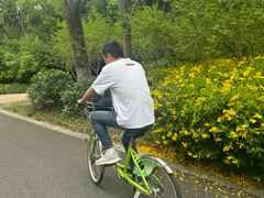 -昆山城市生态森林公园