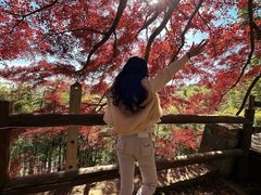 -莫干山风景区