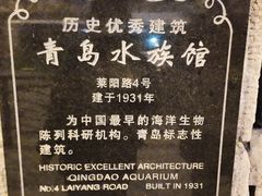 -青岛海底世界-水族馆