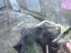 -上王村王家三合院农家乐