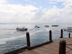 -东姑阿都拉曼海洋公园