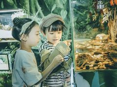 -梦幻海洋王国(吾悦广场张家港店)