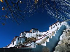 -玛吉阿米·餐吧