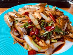 -鼎原力量东北吊炉烧烤(临河街店)