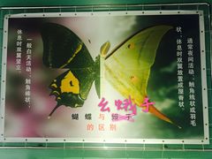 -上海昆虫博物馆