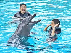 -新加坡水上探险乐园