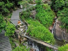 -东莞市大岭山森林公园