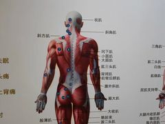 -通透堂中医·精准推拿(旗舰店)