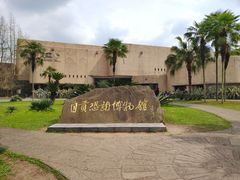-自贡恐龙博物馆