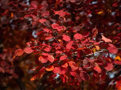 -周口店坡峰岭风景区