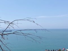 -广东惠东海龟国家级自然保护区
