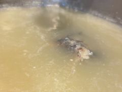 -颜氏双江清水鱼一养身火锅(磁器口店)