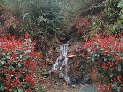 -东钱湖旅游度假区