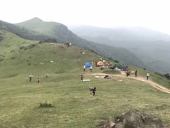 -大姆山草场