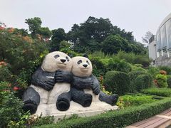 -石排湾郊野公园