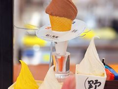 -野人先生Gelato(上海长宁龙之梦店)