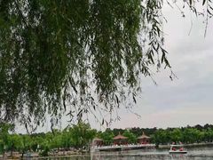-长春市南湖公园