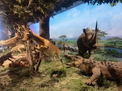 -国家自然博物馆