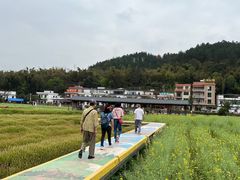 -红山村