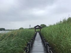 -太湖湖滨国家湿地公园-停车场