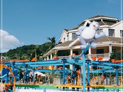 -重庆海昌加勒比海水世界