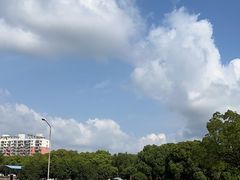 -安飞驰驾校·学车连锁(金高店)