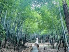 -敬亭山风景名胜区