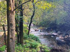 -玉渡山自然风景区
