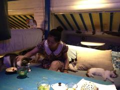 -Sirena海妖日咖夜酒