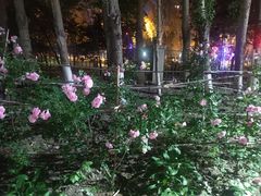 -吉林大学(前卫南区)