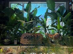 -慢丽江·云南野生菌土鸡锅(西山店)