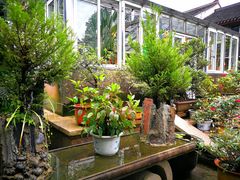 -普陀山慧济禅寺